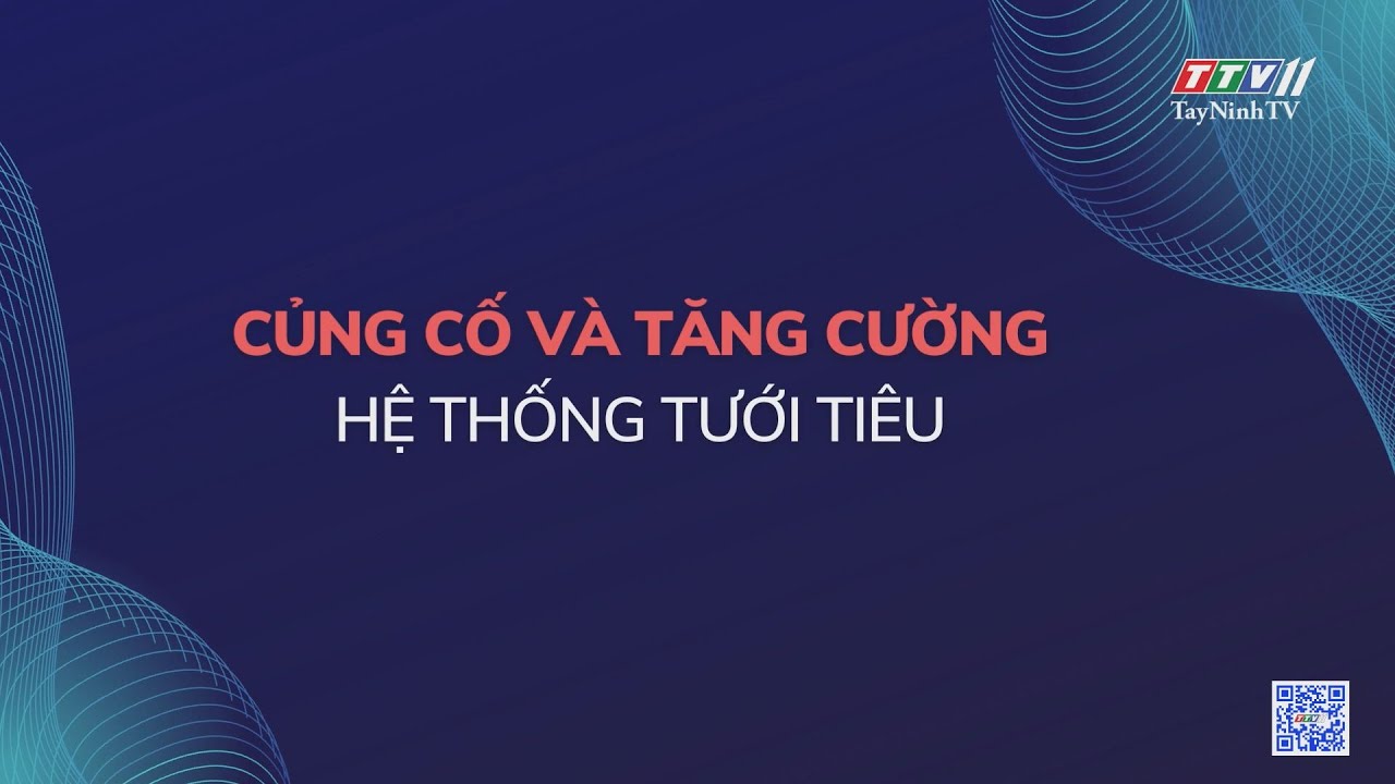 Củng cố và tăng cường hệ thống tưới tiêu | Nông nghiệp Tây Ninh | TayNinhTV